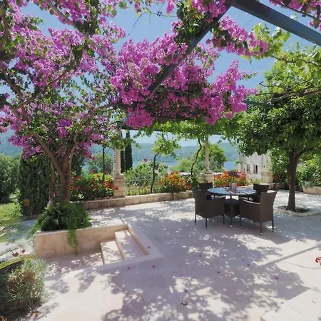 بيت ضيافة & Eva سلانو