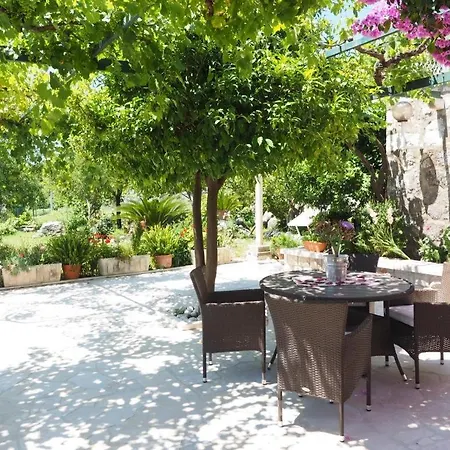 ゲストハウス & Eva